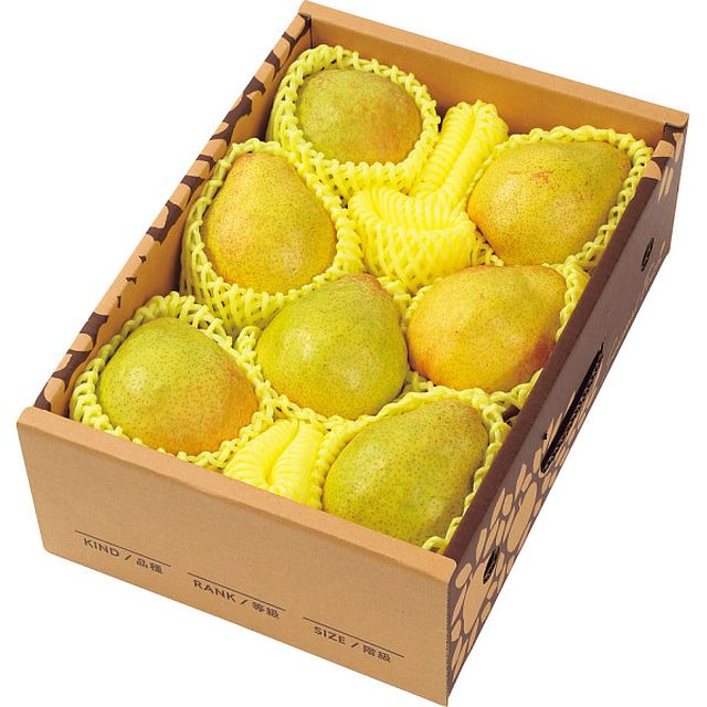 【お歳暮ギフト】山形県産 ラネージュ(2kg) 【申込締切12/10、お届け期間11月末〜12/22】【全国配送可】