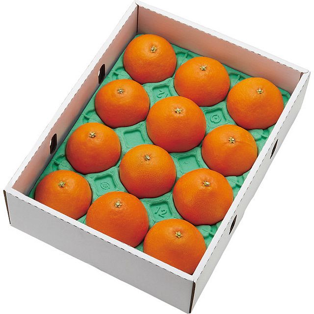 【お歳暮ギフト】愛媛県産 紅まどんな 秀品(3kg) 【申込締切12/9、お届け期間11月末～12/24】【全国配送可】