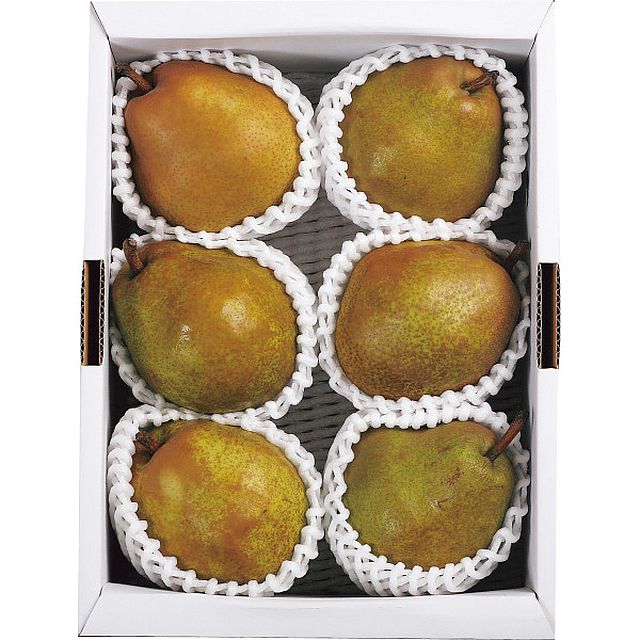 【お歳暮ギフト】井上さんの大玉棚作りラ・フランス 2kg(5〜6玉) 【申込締切12/10、お届け期間11月末〜12/19】【全国配送可】