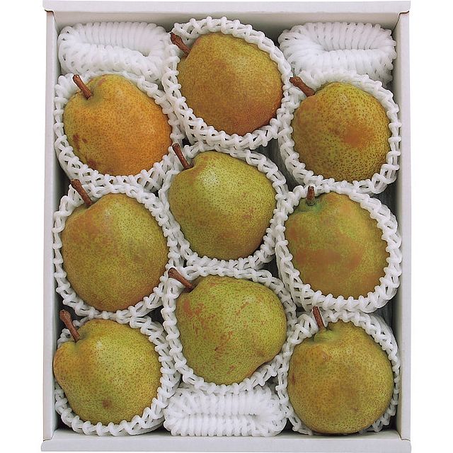 【お歳暮ギフト】井上さんの大玉棚作りラ・フランス 3kg(6〜9玉) 【申込締切12/10、お届け期間11月末〜12/19】【全国配送可】