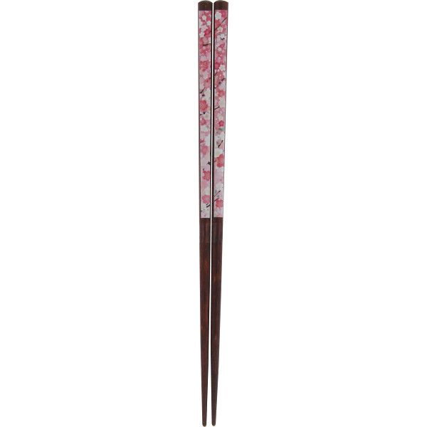 いろどり箸桜花爛漫
