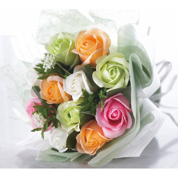 �ڥ��եȡۥ�������åȥ֡���(�����ץե�) �ץ�ƥ��ߥå��� ���̳�ƻ�����졦Υ�������Բġ�