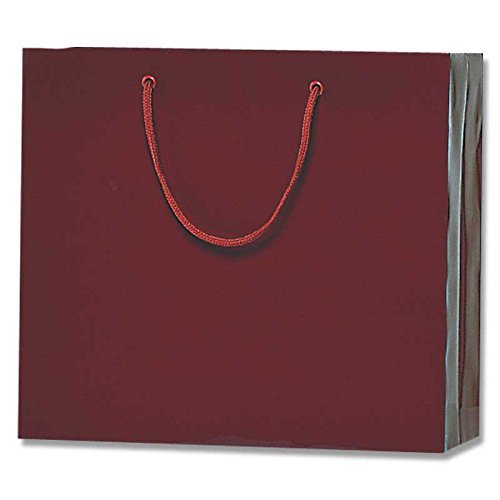 シモジマ ブライトバッグ GM エンジ 1枚 006137902 (1マイ) 00062389【北海道・沖縄・離島配送不可】