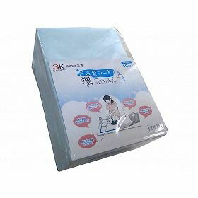 三恵 洗髪シート 颯っぱりさん(10枚入) 袋 【北海道・沖縄・離島配送不可】