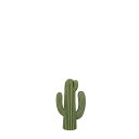 E ダルトン カクタス CACTUS DULTON