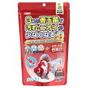 イトスイ コメット 金魚の主食納豆菌 色揚げ中粒 200g【代引不可】【北海道・沖縄・離島配送不可】