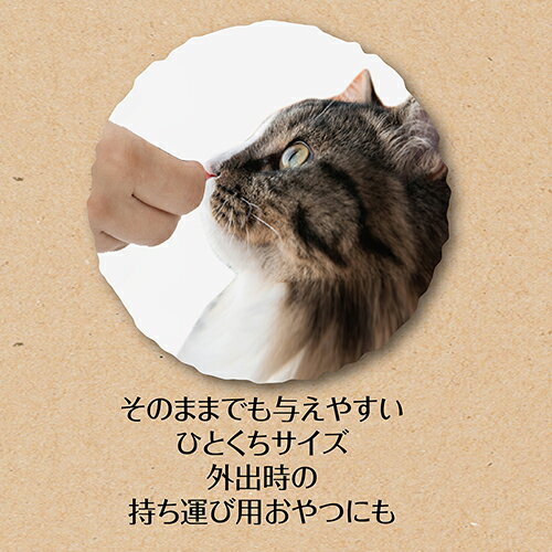 （まとめ買い）ペティオ 素材そのまま フリーズドライ For Cat ササミ 15g 〔×15〕 【北海道・沖縄・離島配送不可】 3