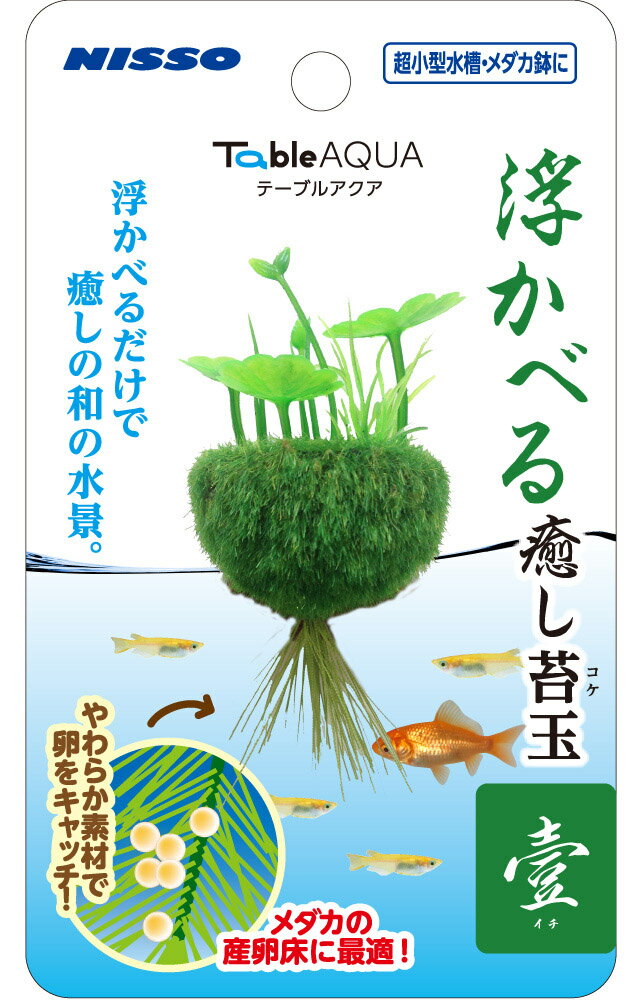 マルカン ニッソー テーブルアクア 浮かべる癒し苔玉 壹(イチ) NAP-573 観賞魚用品 【北海道・沖縄・離島配送不可】