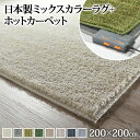 【送料無料】ホットカーペット カバー 洗える ミックスカラーホットカーペット・カバー 〔ルーナ〕 2畳(200x200cm)+ホットカーペット本体セット 正方形 2畳 二畳 北欧 モダン シンプル 無地 ミックスシャギー 滑り止め ラグ 防ダニ 電気カーペット あったか【代引不可】