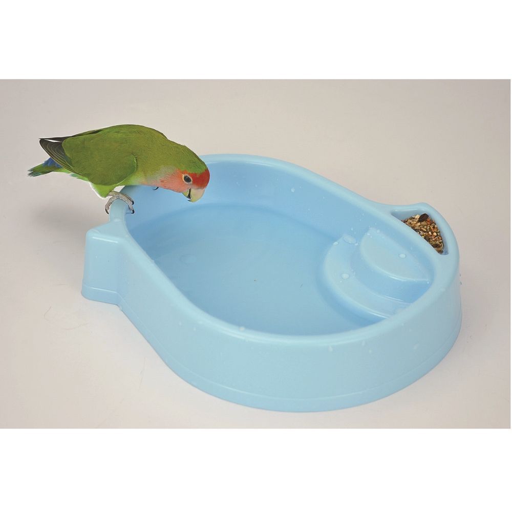 �������� �롼�ॢ������å� ����ӥס��� Ļ���� ���̳�ƻ�����졦Υ�������Բġ�