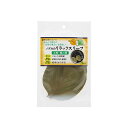 サンミューズ メダカのリラックスリーフ 観賞魚用品 【北海道・沖縄・離島配送不可】
