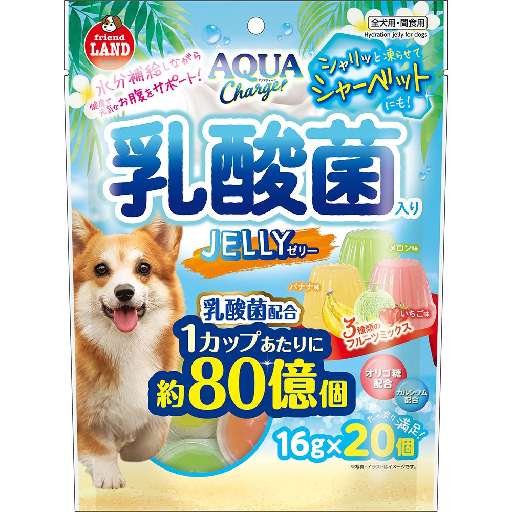 （まとめ買い）マルカン アクアチャージ乳酸菌入りゼリー 16g×20個 犬用おやつ 〔×12〕 