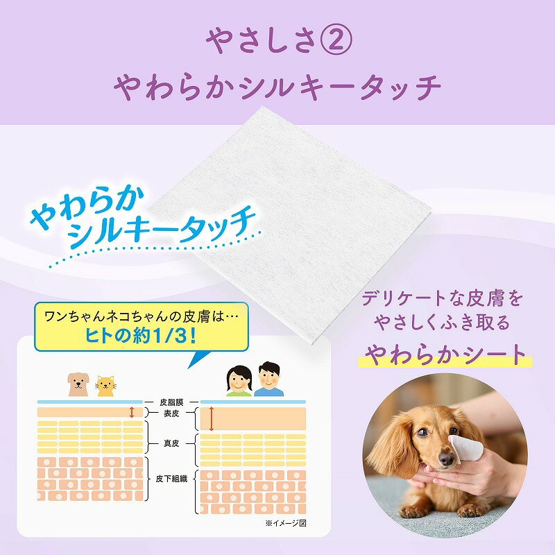 エリエール キミおもい 肌にやさしいウエットティシュ― 純水99％ 70枚×3P ペット用...