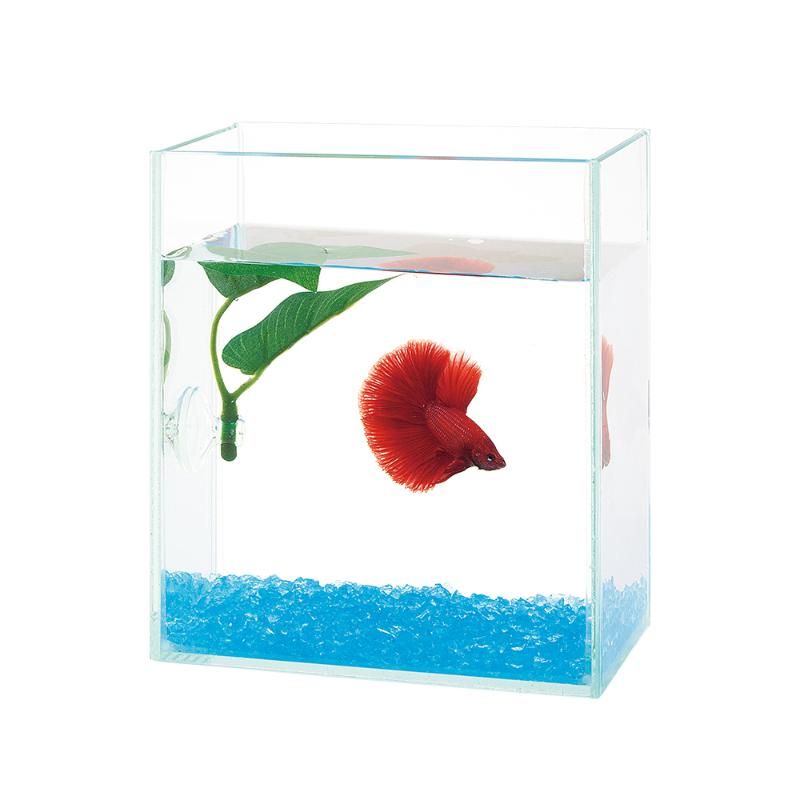 Suisaku �����˥� ���顼����� ���ե������֥롼 200ml �Ѿ޵����� �ڥå����� ���̳�ƻ�����졦Υ�������Բġ�