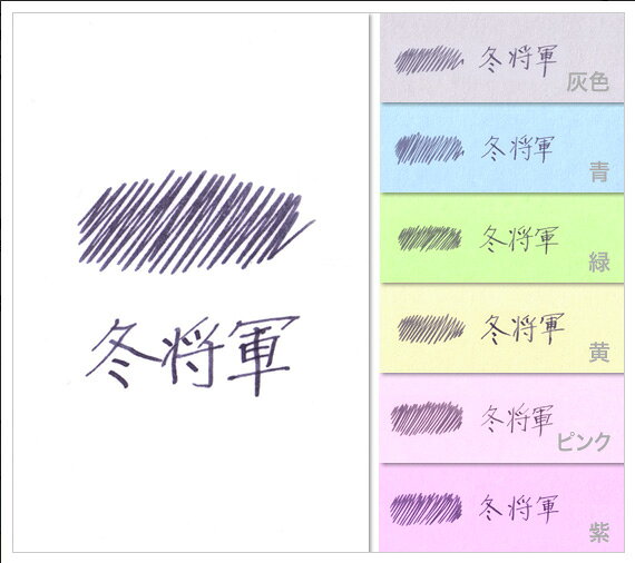 パイロット 万年筆インキ iroshizuku 色彩雫 50ml 冬将軍 フユショウグン INK-50-FS 【北海道・沖縄・離島配送不可】 fujix-12082852 フジックス サンプル画像2