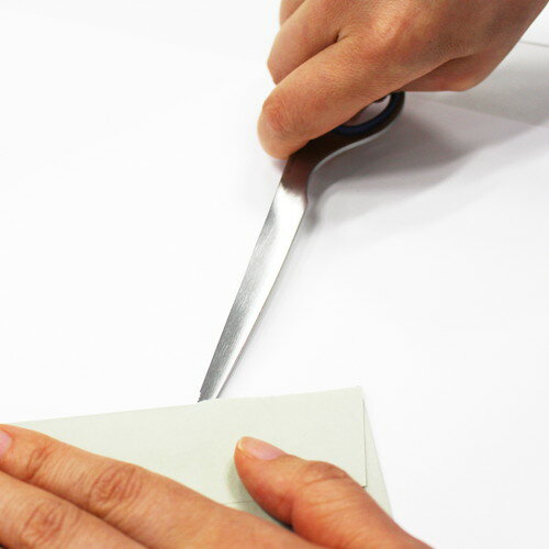 �ڥ᡼����ȯ���ۥץ饹 ���ƥ�쥹�ڡ��ѡ��ʥ��� �֥롼 SC-165PK