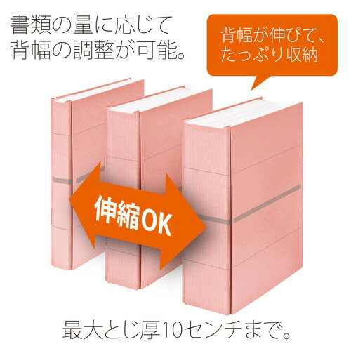 �ʤޤȤ��㤤�˥ץ饹 �������̥ե�åȥե����� ���ΥХ� A4�� 2�� �ԥ� FL-021SS ��5�����åȡ� ���̳�ƻ�����졦Υ�������Բġ�