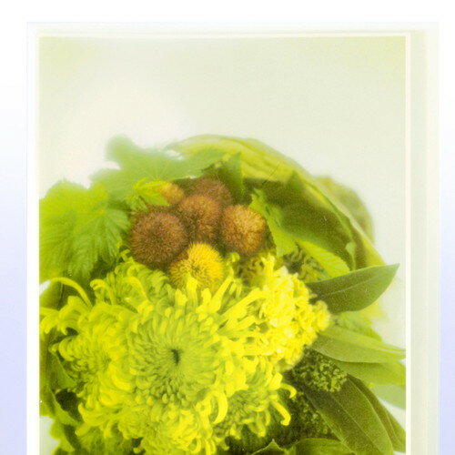 プラス シンプルクリアーファイル A4 10ポケット パープル FC-210SC PU 【北海道・沖縄・離島配送不可】