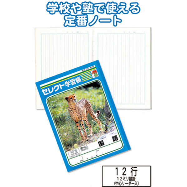 ●表紙：再生紙40％バージン60％ 中紙：再生紙15％バージン85％●メーカー名：文運堂