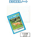 学習帳K-50-2かんじれんしゅう100字 〔まとめ買い10個セット〕 31-382【北海道・沖縄・離島配送不可】