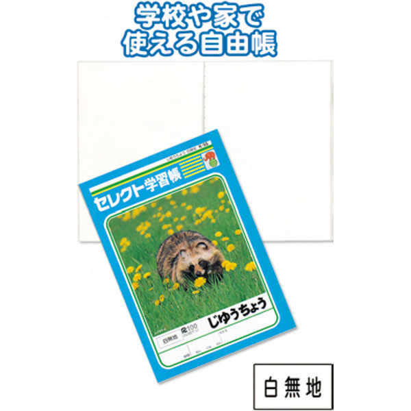 Other - 学習帳K−55じゆうちょう白無地 〔まとめ買い10個セット〕 31-383【北海道・沖縄・離島配送不可】