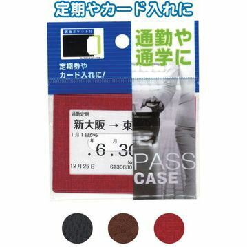 多収納パスケース(裏面ポケット付) 〔まとめ買い12個セット〕 24-105【北海道・沖縄・離島配送不可】 多収納パスケース(裏面ポケット付) 〔まとめ買い12個セット〕 24-105【北海道・沖縄・離島配送不可】