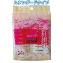 Berry Colors ランドリーピンチ24個入 〔まとめ買い12個セット〕 38-805【北海道・沖縄・離島配送不可】