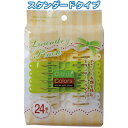 Citrus Colors ランドリーピンチ24個入 〔まとめ買い12個セット〕 38-811【北海道・沖縄・離島配送不可】