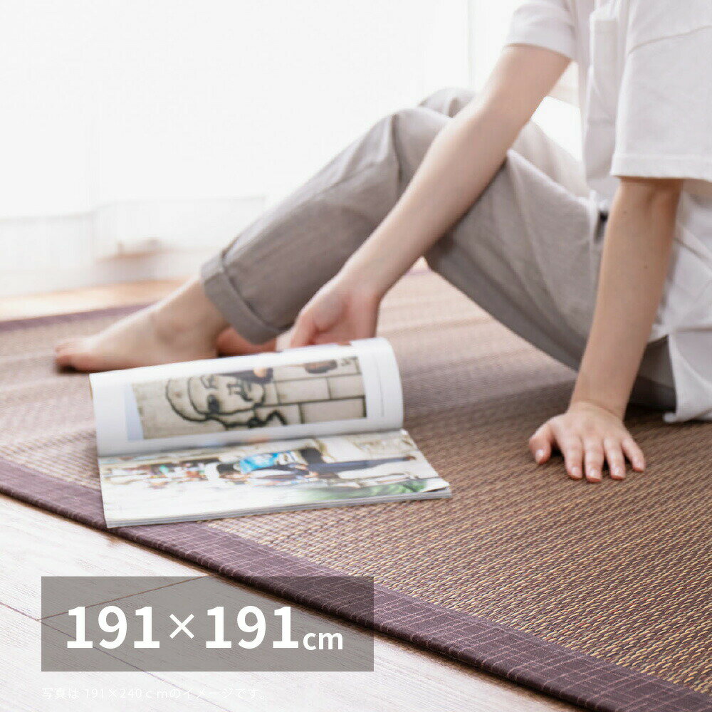 Character Pattern - い草ラグ 〔南風〕 191×191cm ブラウン 【北海道・沖縄・離島配送不可】