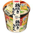 だしの旨みで減塩 鶏炊きうどん 45g×12個入り (1ケース) (KT)