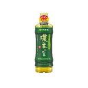 【機能性表示食品】伊藤園 お〜いお茶 濃い茶 600ml×24本 (1ケース)