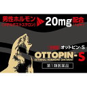 【第1類医薬品】オットピンーS (5g)