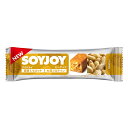 SOYJOYピーナッツ 48個入り(1ケース)