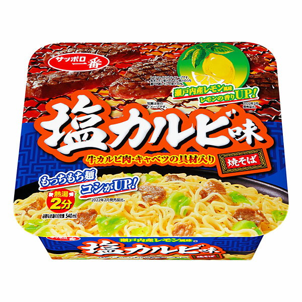 サンヨー食品　サッポロ一番　塩カルビ味焼そば　110g×12個(1ケース)(KK)のサムネイル