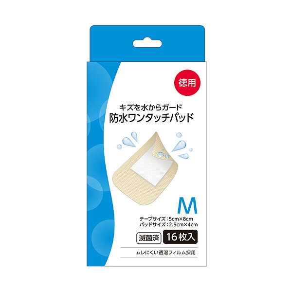 Хơɿ󥿥åѥåɡMѡ16ڰ̰ŵ