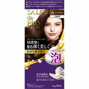 【医薬部外品】サロン ド プロ 泡のヘアカラー・エクストラリッチ(白髪用) 6 ダークブラウン 1個