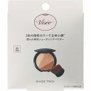 ヴィセ シェード トリック BR300 ミディアムブラウン 8.5g