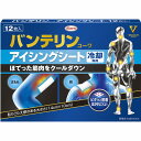 バンテリンコーワアイシングシート 12枚(4)