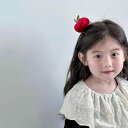 ヘアクリップ ヘアアクセサリー クリップ ヘアピン 小物 アクセサリー レディース 女性用 キッズ 子供用 ガールズ オールシーズン おしゃれ かわいい フリーサイズ 個性的 きれいめ エレガント ベルベット 10代 20代 リンゴ レッド 林檎 立体的
