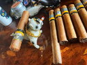 灰皿 アシュトレイ インテリア 小物 犬 ブルドッグ 動物 白 普段使い プレート リビングルーム オフィス シンプル カジュアル かわいい おしゃれ かっこいい クール 個性的 高級感 存在感 主役級 クラシカル 40代 50代 インスタ映え 韓国系(3)