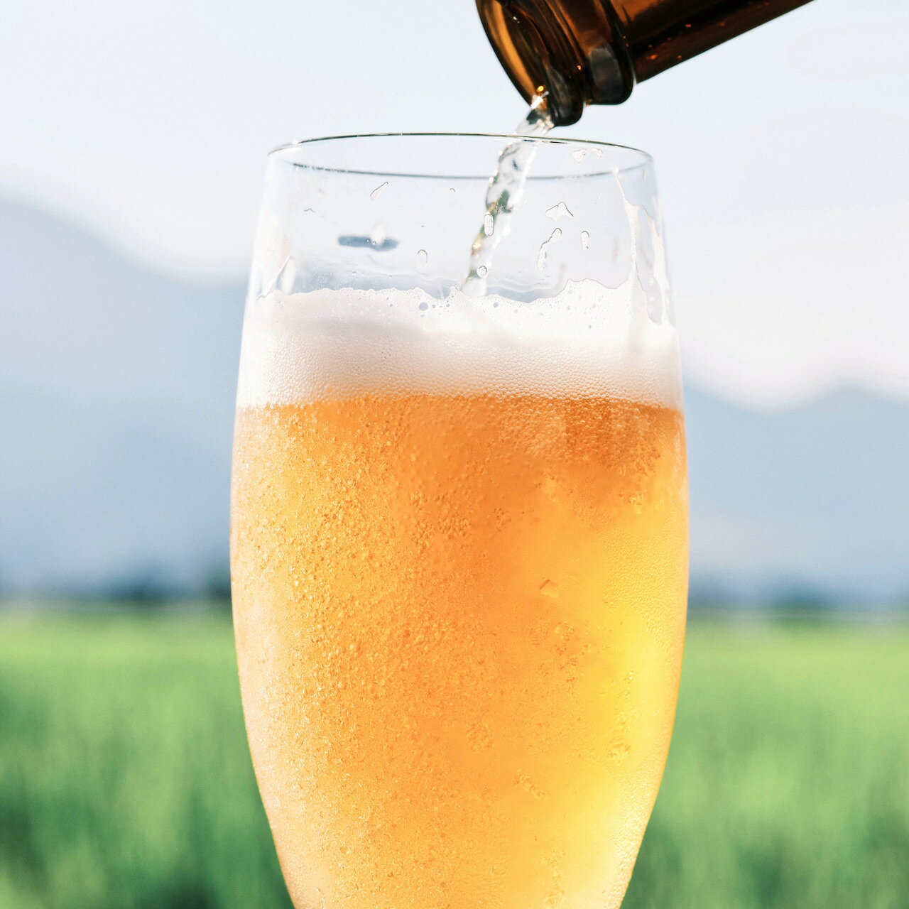 阿蘇ブロンドエール 阿蘇レッドIPA 2種類 飲み比べセット ギフト用 専用ボックス入り 国産 クラフトビール 330ml 4本入り メーカー公式 箱入り beer 麦酒 瓶ビール まとめ買い おしゃれ 日本産 お酒【プレゼント 誕生日 還暦 結婚 お祝い ホームパーティー 記念日】