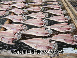 脂がのってます・駿河湾沼津港極上　真あじのひらき（1枚）　冷凍