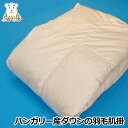 ハンガリー産ダウンの羽毛肌掛ふとん シングル ダウン90% 400g 羽毛肌掛布団 ダウンケット 通年仕様 寝冷え対策 オールシーズン合掛 日本製 大恒リビング製