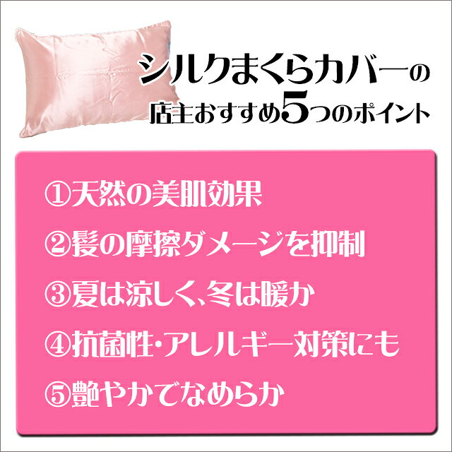 布団・枕・マットレス通販ふかふかの100%シルクの枕カバー 43x63cm リバーシブルのオールシーズン仕様 美肌 美髪 裏面はすべりにくいコットン100％サテン｜アングル2