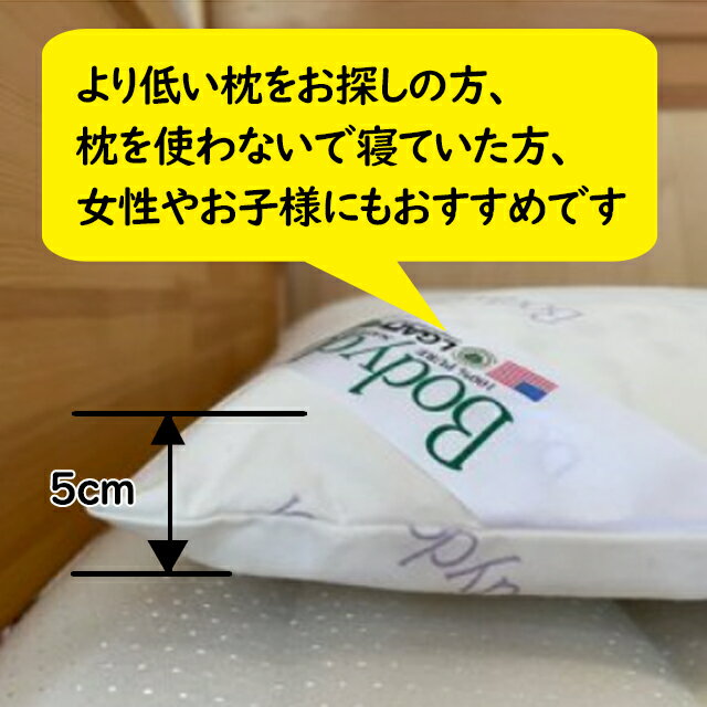 【あす楽】【おまけ特典あり】ボディドクタードクターピロー050高さ5cm薄型低めのライトタイプ60x40cm抗菌・防ダニ・防臭のラテックスの枕