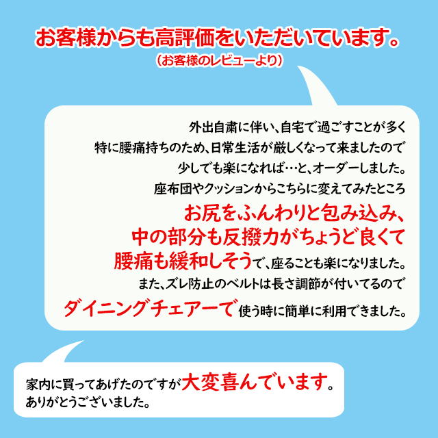 マニフレックス　ファンクッション お尻が痛くならない 椅子用クッション　腰や背中にやさしい高反発シートクッション 　オフィスのデスクワーク 食卓のイスでテレワークに　母の日のプレゼントに最適クッション