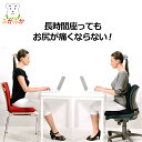 マニフレックス ファンクッション お尻が痛くならない 椅子用クッション 腰や背中にやさしい高反発シートクッション オフィスのデスクワーク 食卓のイスでテレワー...