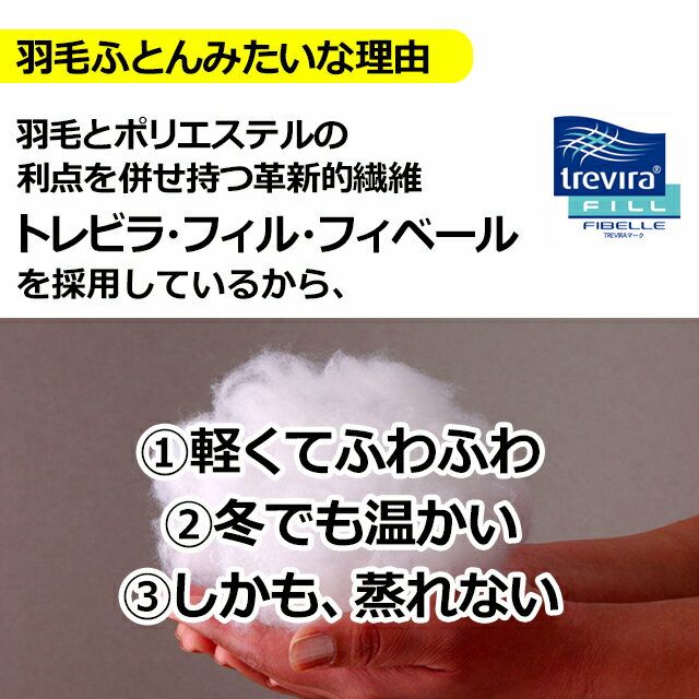 ダンフィルフィベール掛け布団ダブル