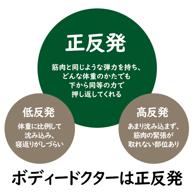 【あす楽】【おまけ特典あり】ボディドクタードクターピロー050高さ5cm薄型低めのライトタイプ60x40cm抗菌・防ダニ・防臭のラテックスの枕