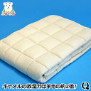 ふかふか キャメル敷パッド Q クイーン 160x200cm キャメルわた100% 1.9kg入り オーガニックコットンのスムース生地 ベッドマットレス用オーバーレイ ボディドクター